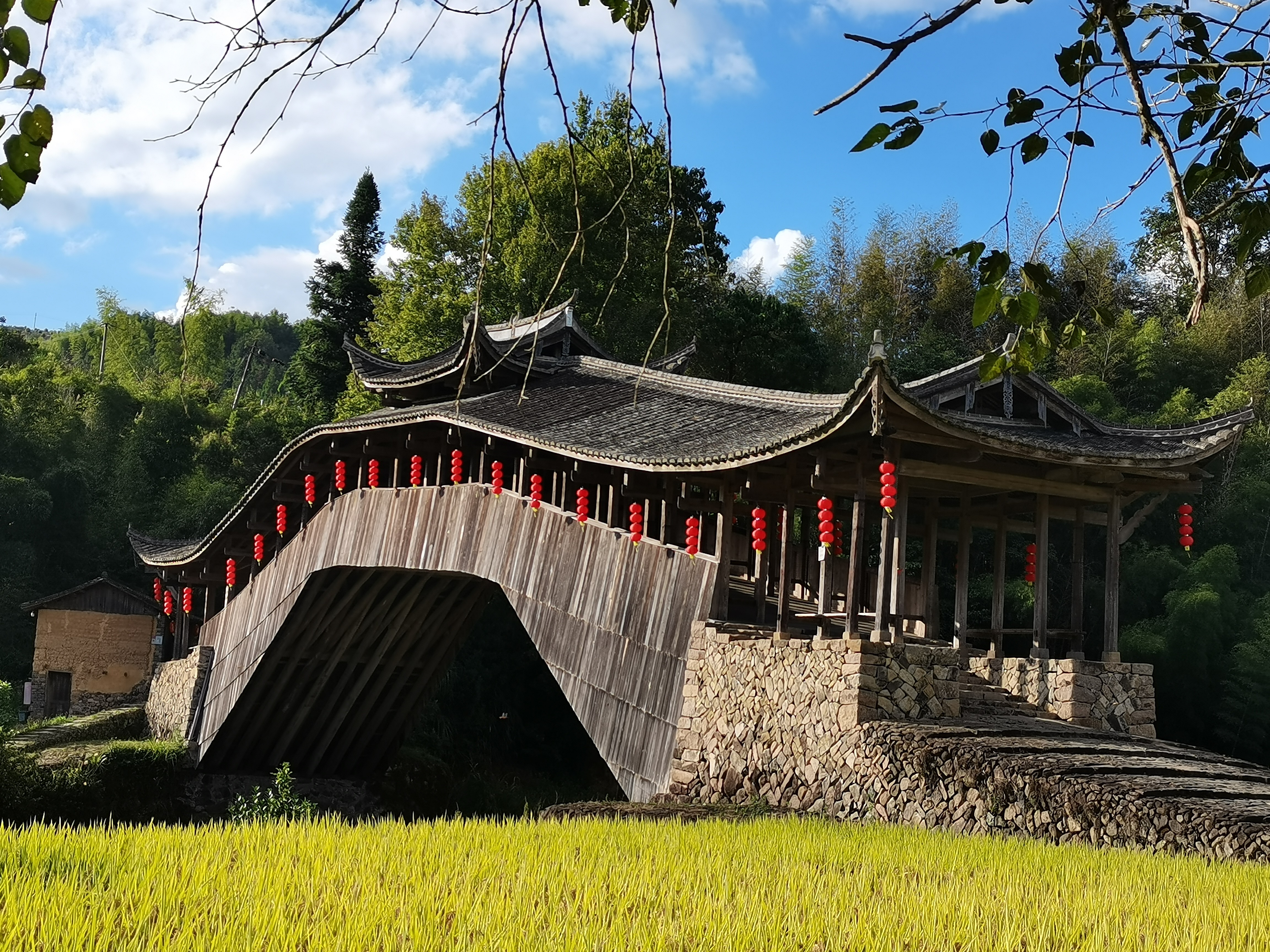 1760403544565022520.jpg 1760403544565022520.jpg